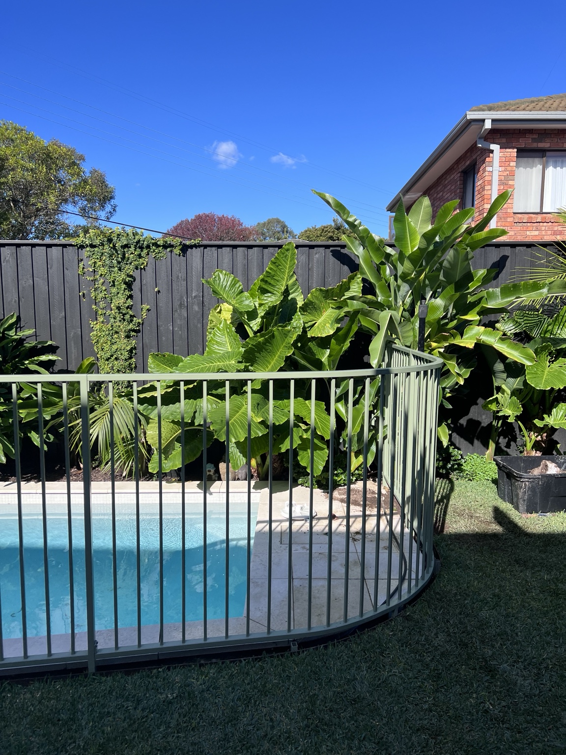 Aluminium pool fencing