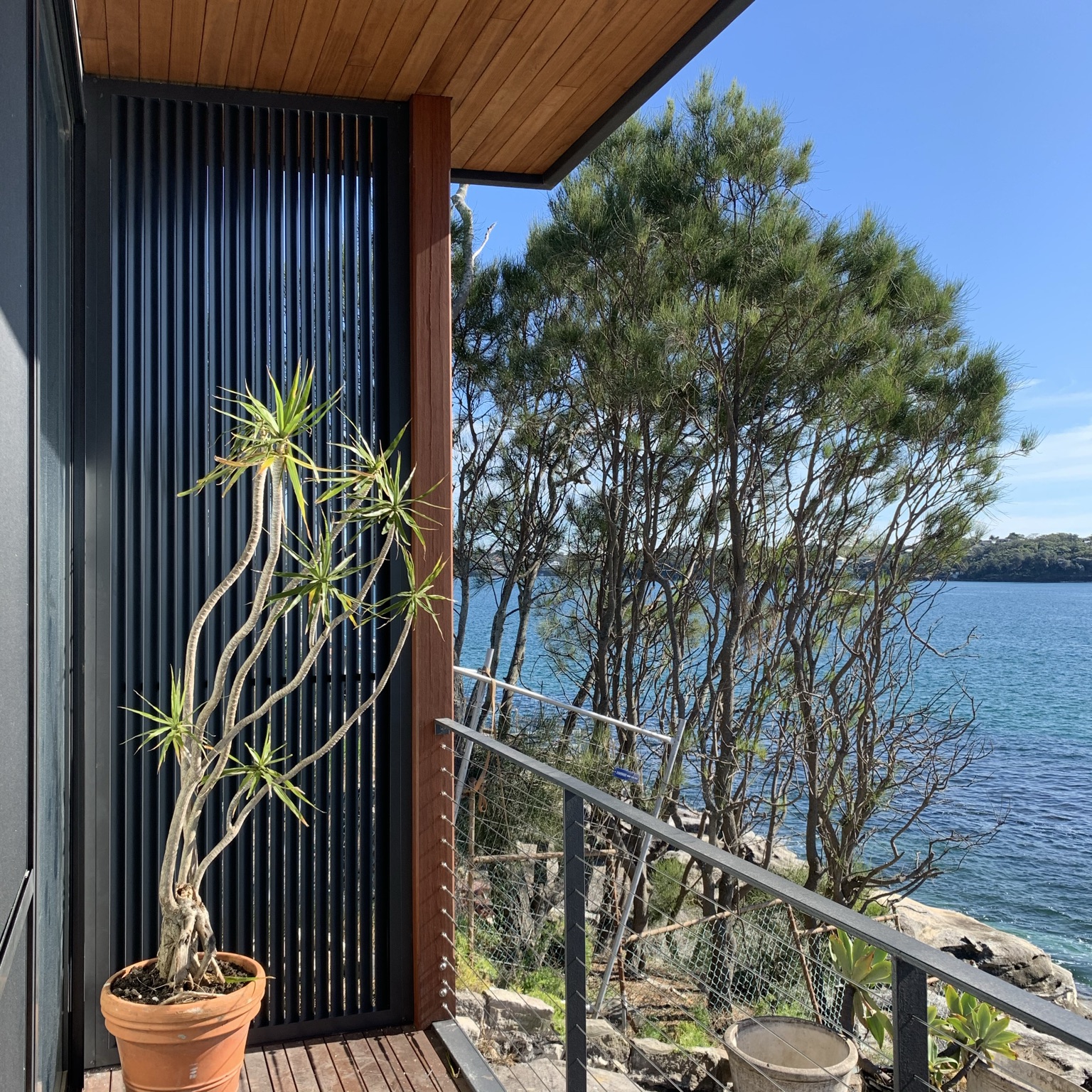 Privacy screen project